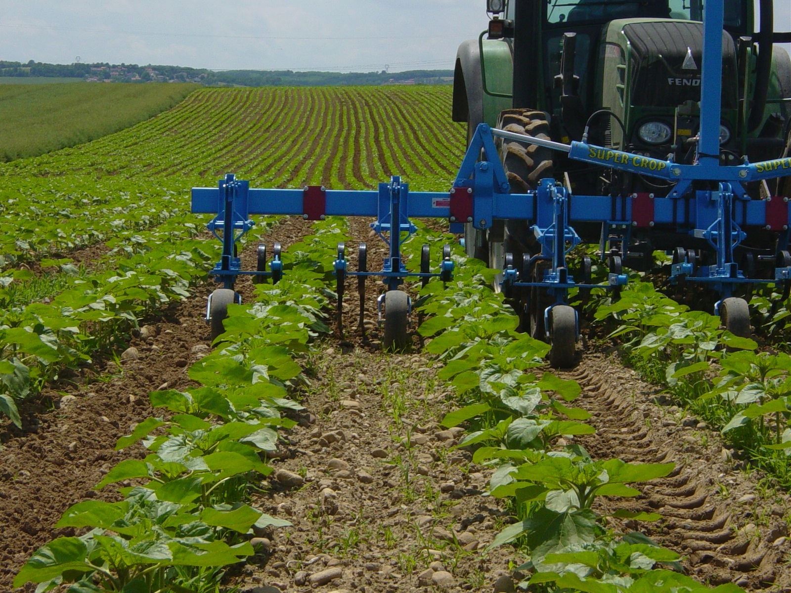 L'Europe au soutien de la ruralité