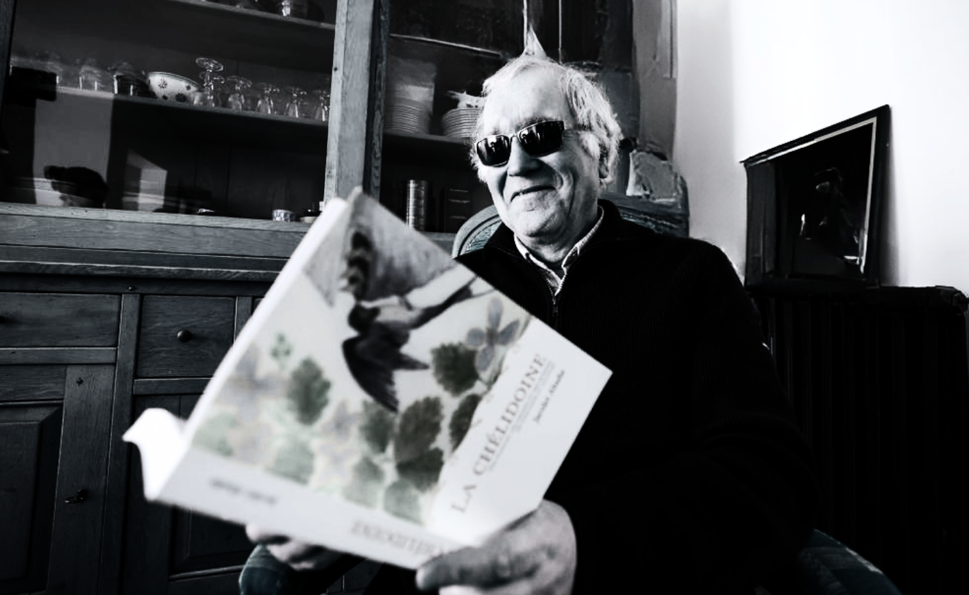 Présentation du livre “La Chélidoine”