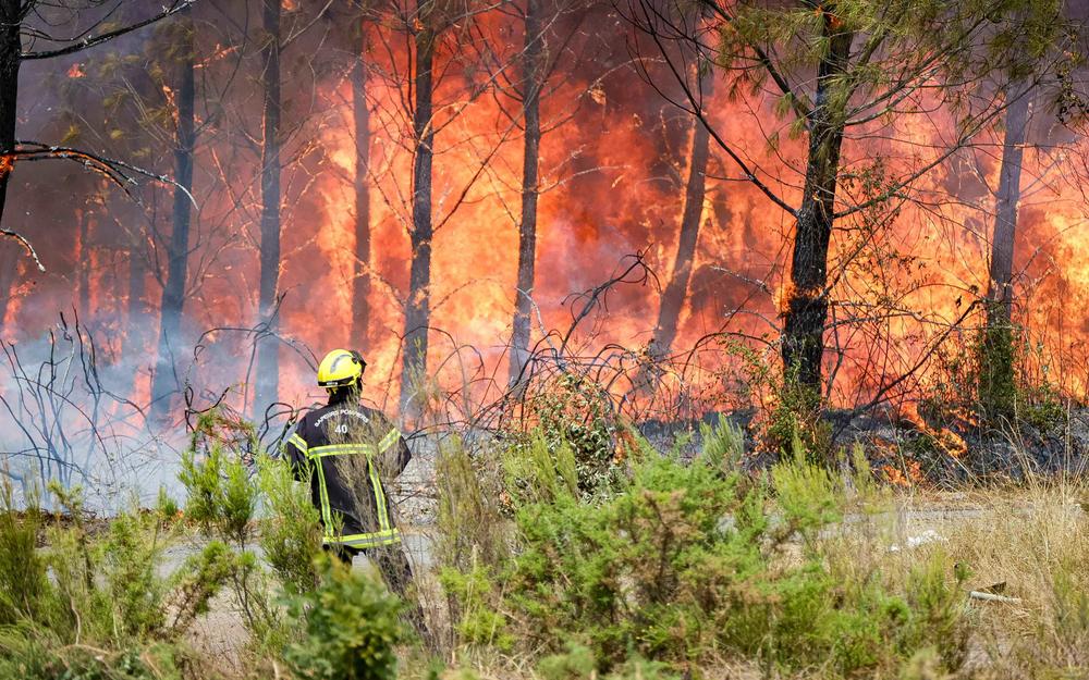 Feux de forêts : le département en vigilance orange sévère
