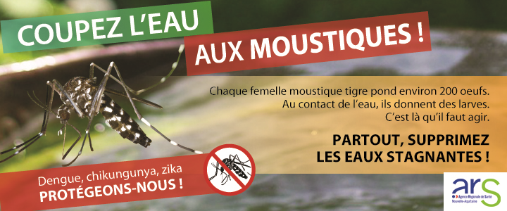 affiche moustique