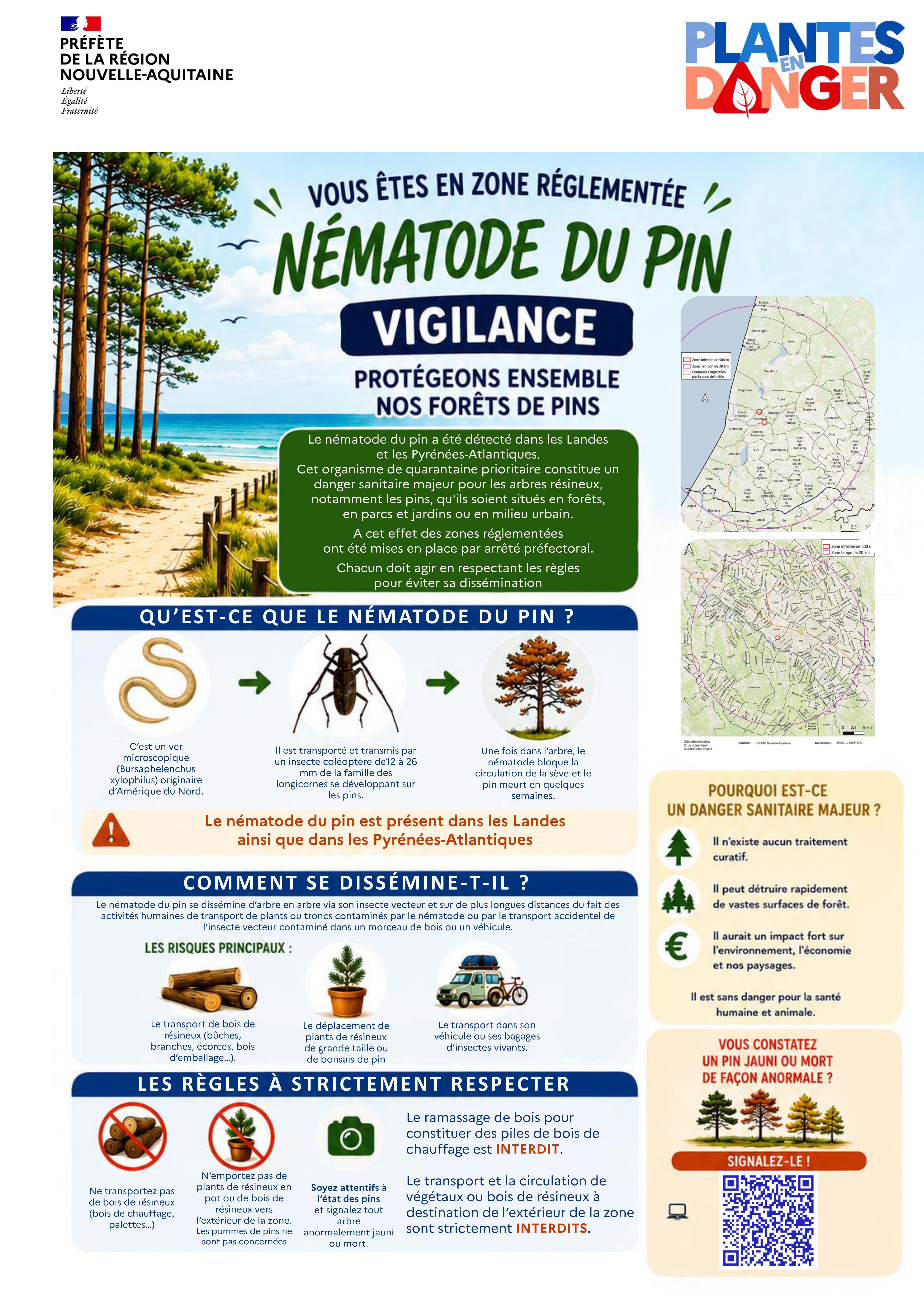 2607 Affiche Nematode du pin Grand public Juillet 2026 page 0001 1