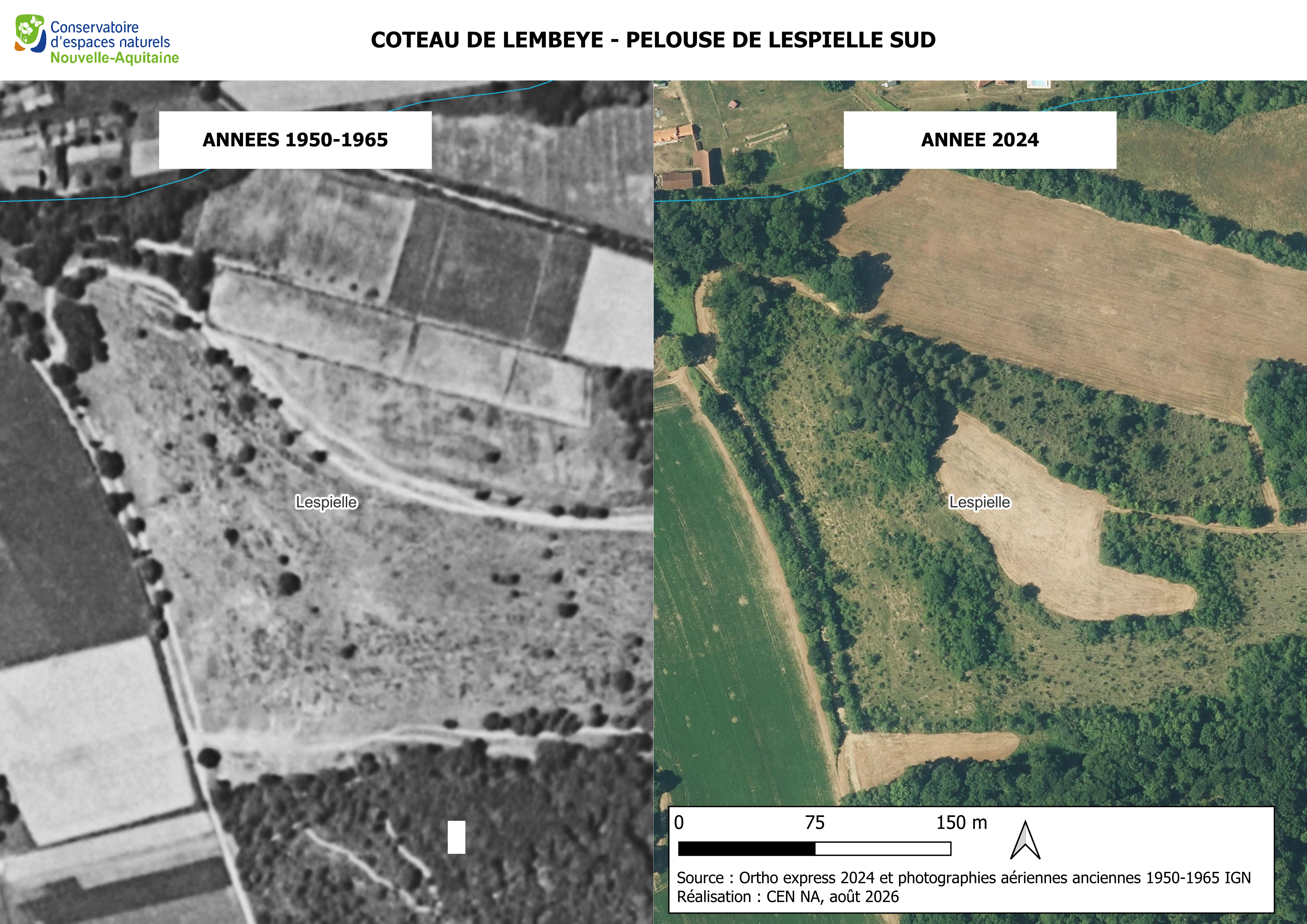 Lespielle sud evolution 50 2024
