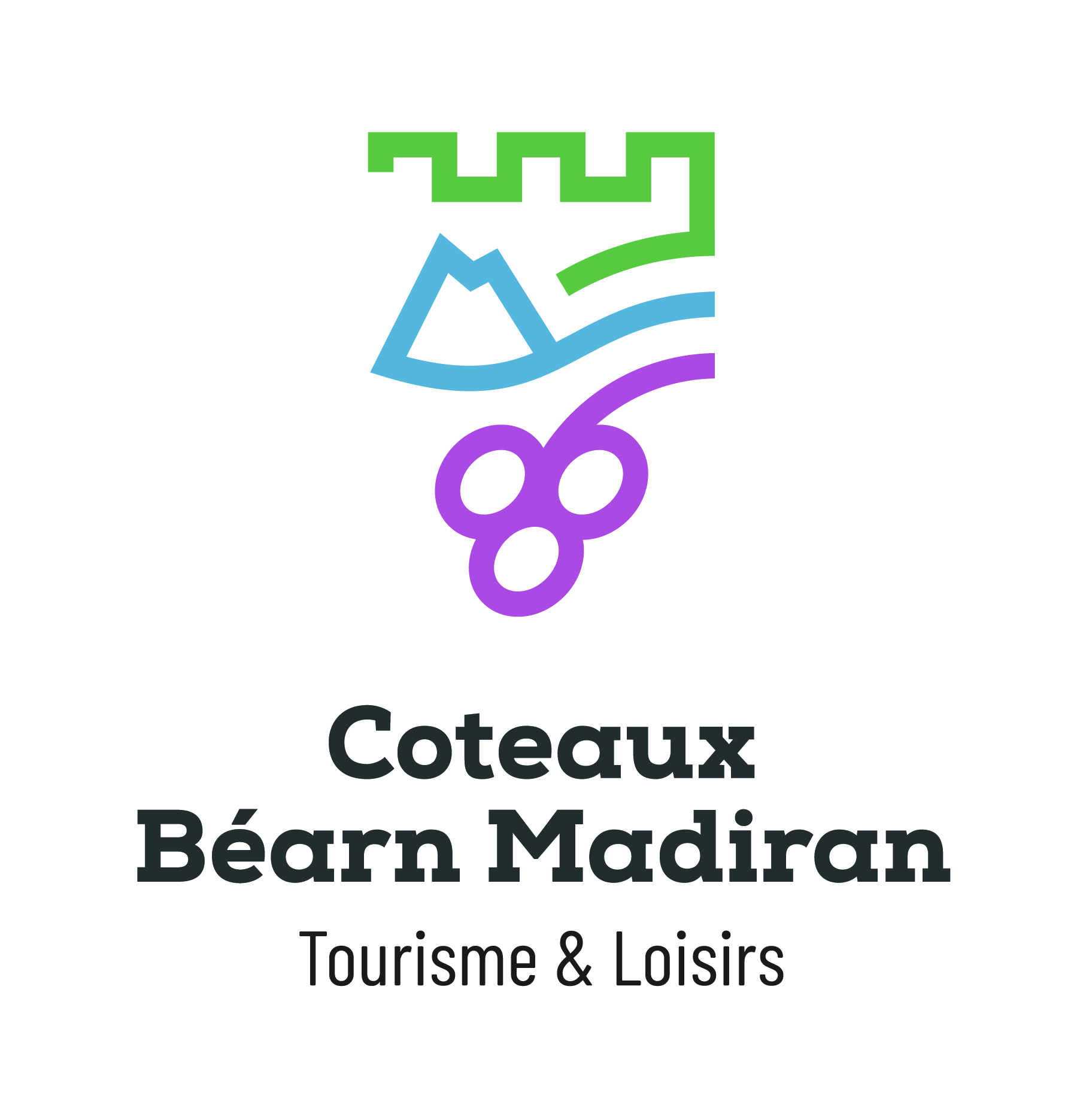 COTEAUX BEARN MADIRAN LOGOS INSTITUTIONNEL COULEURS