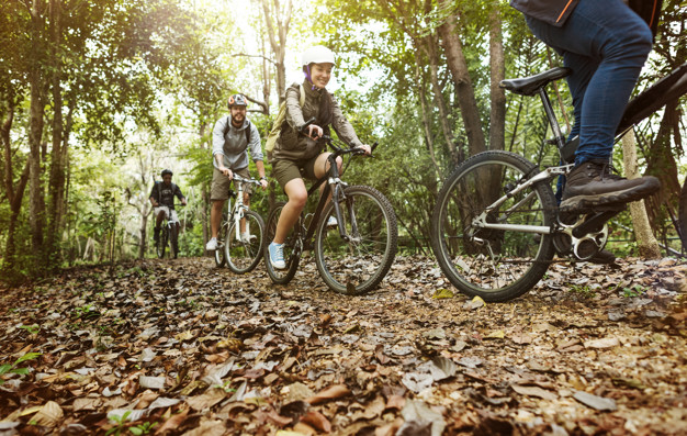 groupe amis faire du velo montagne dans foret ensemble 53876 24859