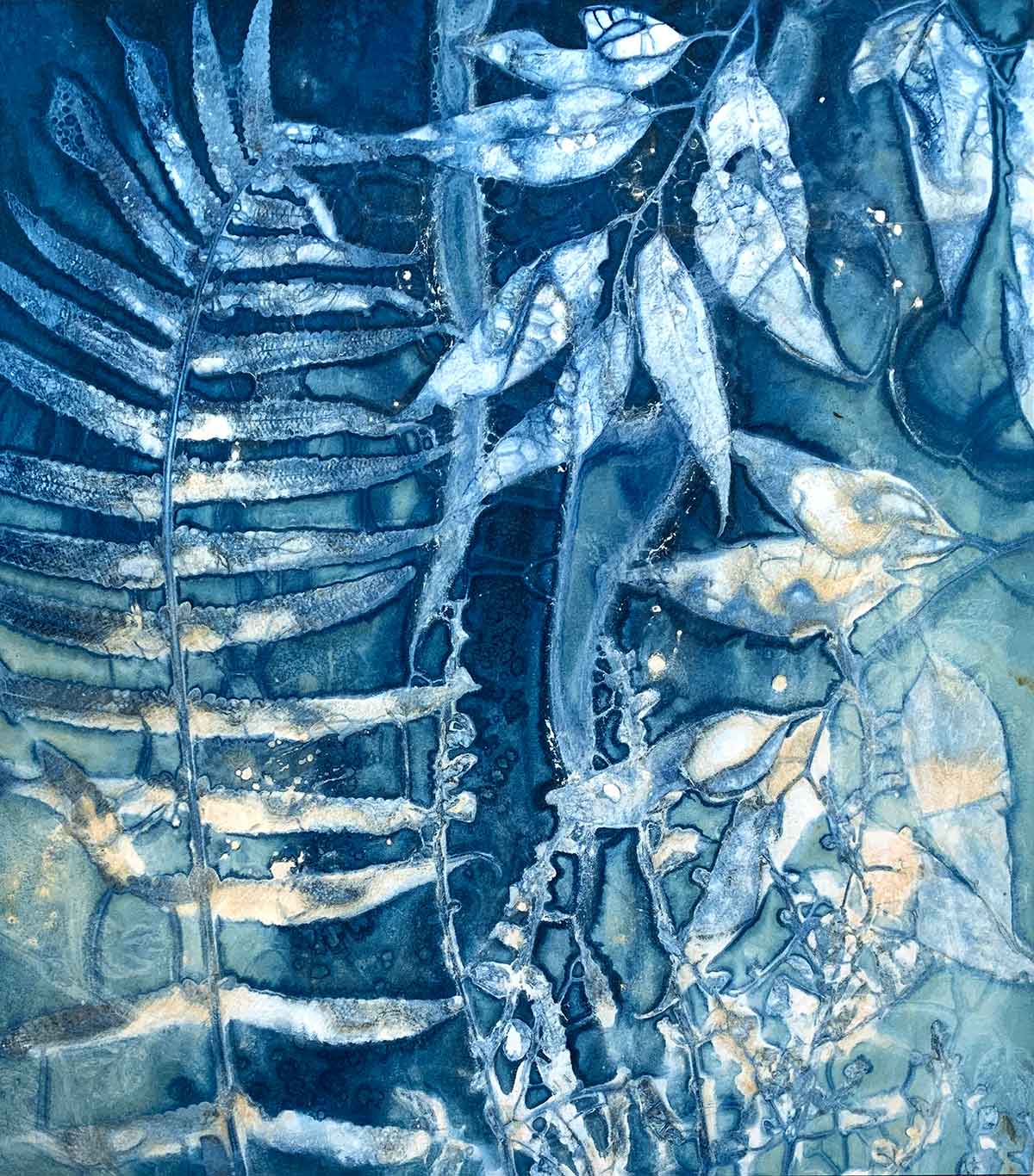 Balade et atelier Cyanotype à Ger Manas