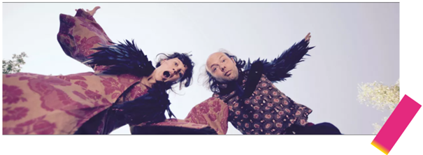 OiseauRavage_Riupeyrous