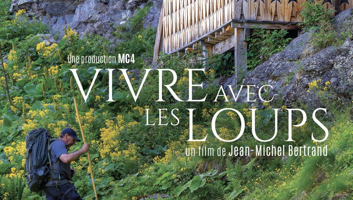 Cinéma plein air à Bassillon-Vauzé