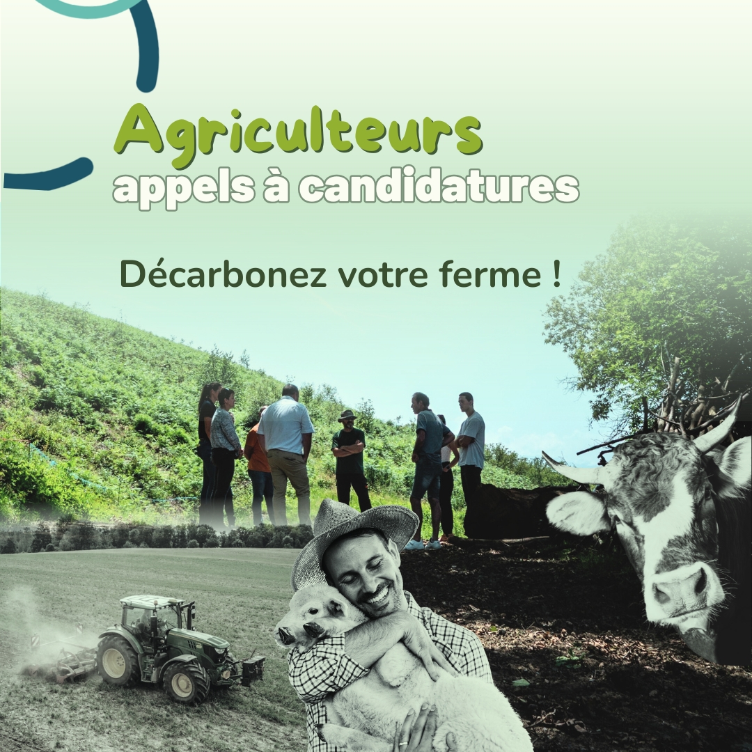 Stratégie carbone - Appel à volontaires