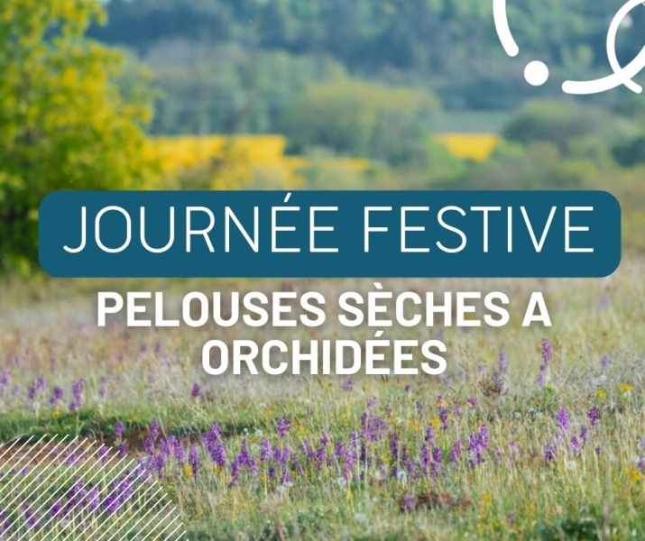 Pelouses-seches-30-05-2026